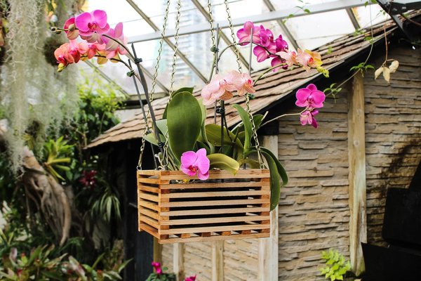 Quand planter ses fleurs au jardin ? Tout ce qu'il faut savoir !