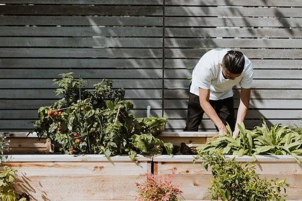 Comment créer un potager sur son balcon ?